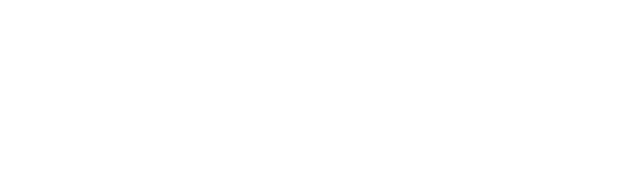 The Orthopedic Group